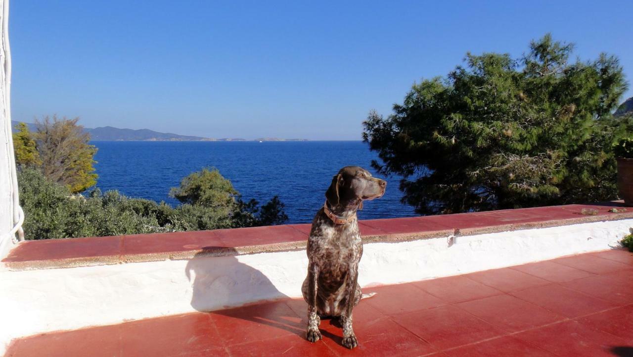 Tramontana Villa Ídra Kültér fotó